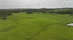 Quality North Queensland cattle property for up to 200 head off to auction