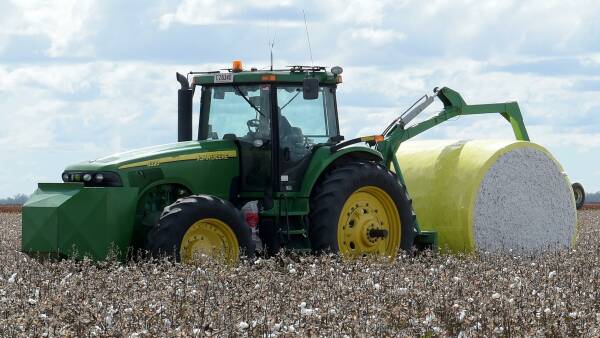 Cotton sector confident of good crop in spite of late season weather woes