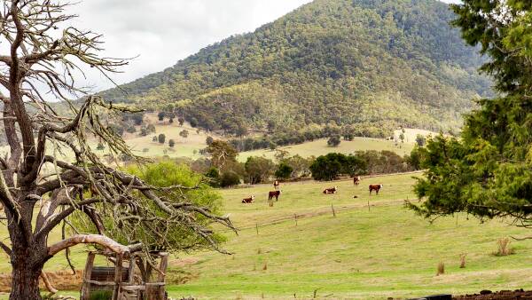 Triple treat with three farm blocks auctioned together in East Gippsland