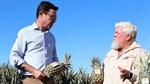 Farmers promised specialist help for growing crisis if Coalition wins power