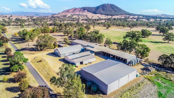 Mansfield seed cleaning business hits market - fully equipped, ready to go