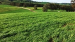 High rainfall South Gippsland dairy farm on the market at Leongatha
