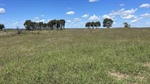 Prime Brigalow Belt country in the spotlight with very well-improved Malara