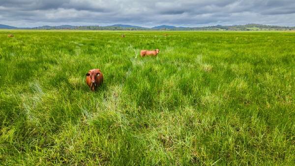 Highly productive coastal hill, floodplain country on the market for $7.5m