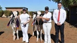 South Australian youth showcase skills and passion at calf day event