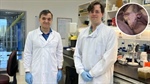 Could lab-grown fat cells that taste like bacon be a game-changer for pork?