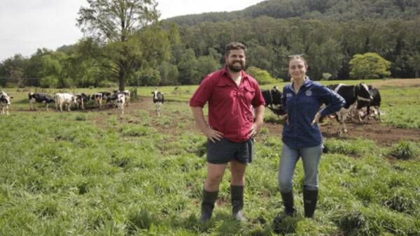 Optimising pasture variety selection helps productivity