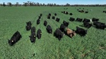 Versatile, well-developed north west cattle operation with irrigation bonus