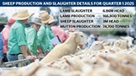 Winter sheepmeat supply crunch could serve up $9 lamb and $6 mutton prices