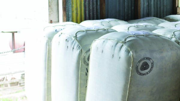 Australian Wool Innovation takes first steps towards 2025 board election