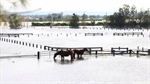 Who's responsible for small businesses and farmers surviving disasters?
