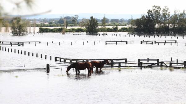 Who's responsible for small businesses and farmers surviving disasters?