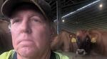 Dairy heartland feels the pain of flood with a long road before recovery