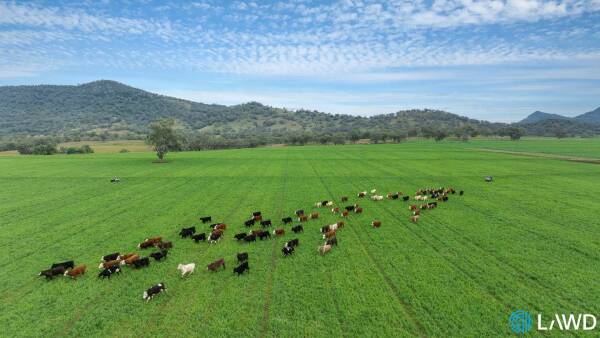 Glenarvon: highly regarded grazing property with significant arable country