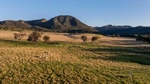 Outstanding opportunity to secure productive, scenic Bylong Valley country