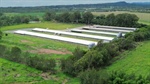 Atherton Tablelands poultry and avocado production with expansion potential