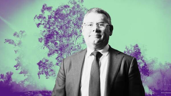 Murray Watt wants 'nature positive' law rejig hammered out within 18 months