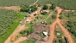 Country Downs presents as 'best-value cattle country on market' | Photos