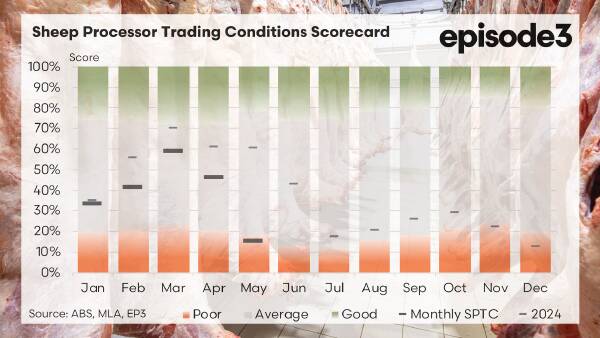 Sharp and sobering fall: sheep processor conditions suffer heavy blow in May