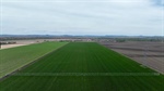 Expressions of interest sought on exceptional irrigated farmland | Video