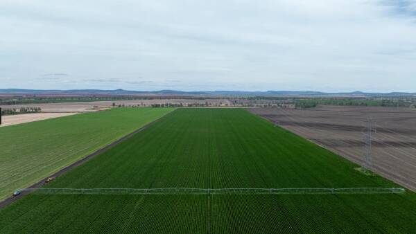 Expressions of interest sought on exceptional irrigated farmland | Video