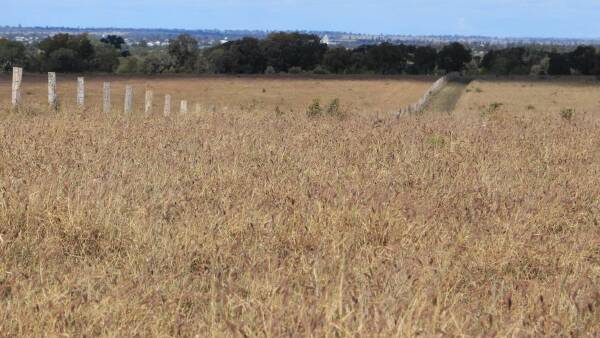 Maranoa country in four quality lifestyle blocks close to Roma for $1.9m