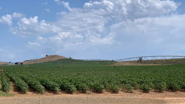 Yarrenbool with massive 3640 megalitres of Namoi River water entitlements