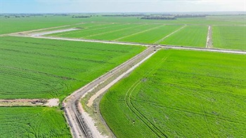 Receivers send major border region irrigation operation to auction | Video