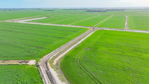 Receivers send major border region irrigation operation to auction | Video