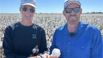 Busy time in cotton as planting begins hot on the heels of harvest ending