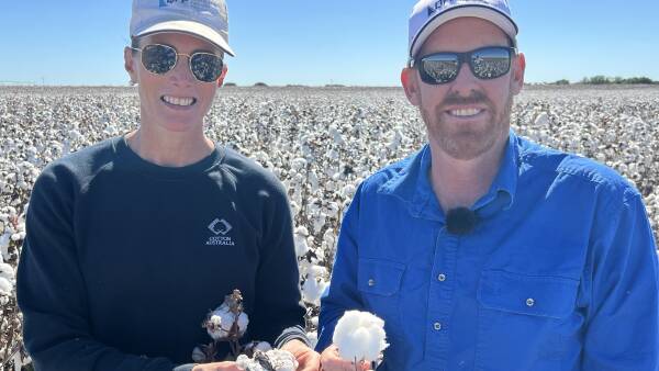 Busy time in cotton as planting begins hot on the heels of harvest ending