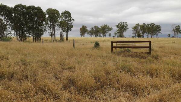 Backgrounding, fattening country hits $2547/acre at strong auction | Photos