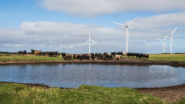 Why renewables' edge over coal, gas all boils down to simple economics