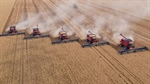 Australian farmers win the title for the toughest wheat producers on earth