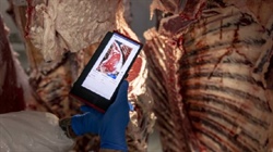 Aussie agtech company gets US approval for meat grading cameras