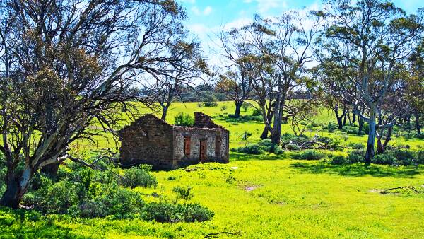 Flinders Ranges summit sheep grazing offers value for money at $600,000 plus