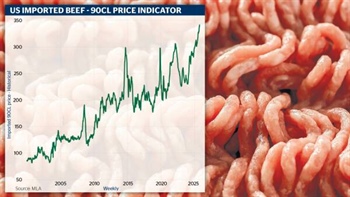Where finished steers are worth $4300 and we're getting a piece of the pie