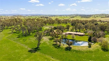 Dundoos Park offers handy-to-capital city living with grazing bonus | Video