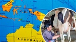 Export of dairy heifers to Indonesia could be 'extra milk cheque' for farmers