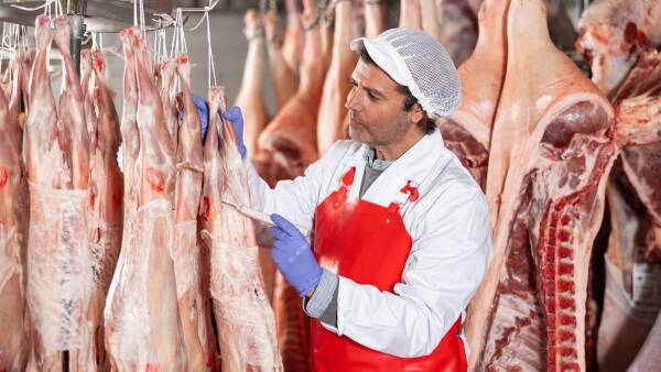 Producers 'keen as mustard': livestock industry embraces cutting-edge tech