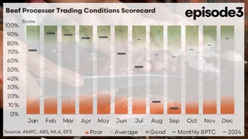 Beef's margin crunch deepens as cattle prices surge and co-products slide