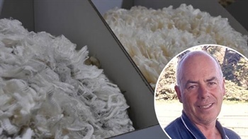 'Marketing wool as if it was 1995': can industry appeal to Generation Z?