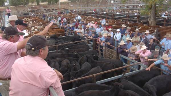 Allison stays on as Elders survives 'problematic' year to lift profit 12pc