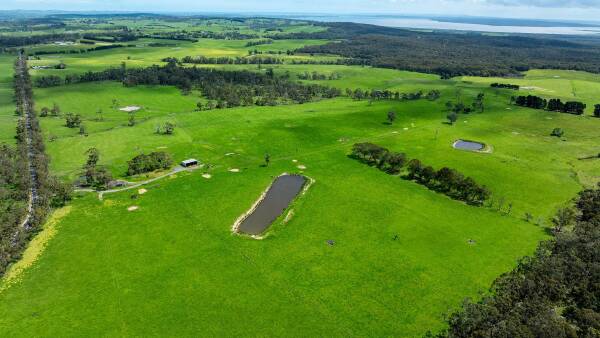 Dorian on the market as premium, well-watered Gippsland grazing country