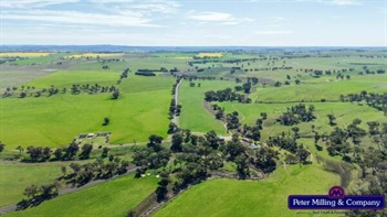 Quality Suntop district lamb, cropping operation sold at auction | Video