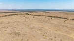 Cattle property Carnangarra sold above reserve on innovative online auction