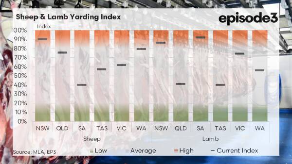 Behind the numbers: spring lamb supply remains 'uneven', 'contradictory'