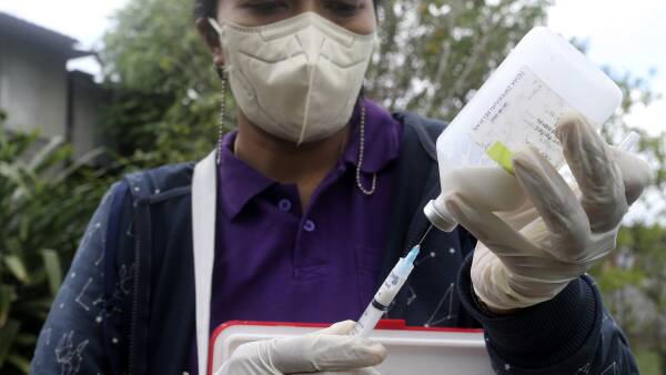 Foot and mouth, lumpy skin threat intensifies; what's driving the risk