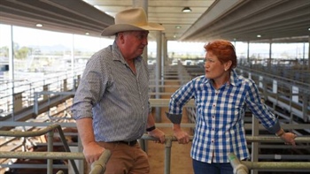 Barnaby Joyce joins Pauline Hanson, citing 'incongruous' Nationals relationship