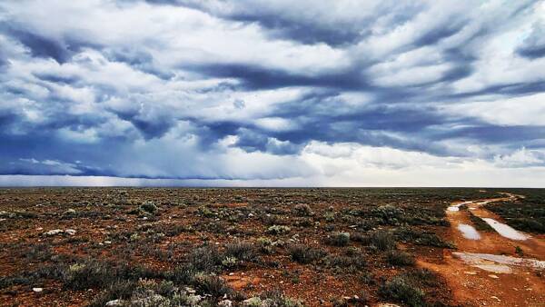 Million dollar gamble in the outback: is the NT the new Nullarbor Plain?